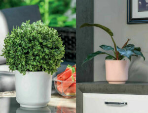 Satina Mona Plant Pot
