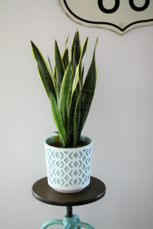 Aztek Pot Modern Decorative Plastic Holder