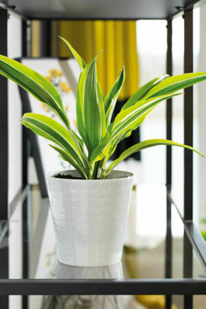 Round Diamond Pots