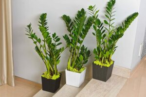 Rattan Style Plant Pot