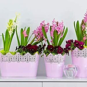 Crown Style Trough Flower Pots