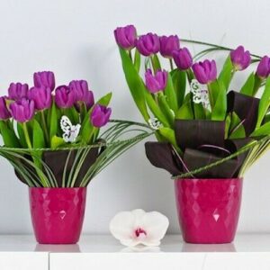 Plant Pots Crystal