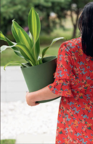 Plant Pot Planter Satina Eco Made With Up To 30% Wood Indoor Outdoor