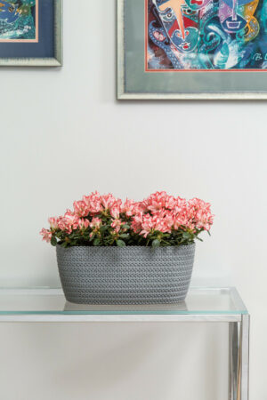 Jersey Knitted Rattan Style Plant Pot