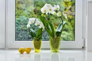 Plant Pots Orchid Pot Plastic 8 Colours  Square Planter Transparent 12 cm