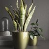 Gloss Pots Planter Plant Flower Pot  Plastic 18 Colours Saucer Tray Deco
